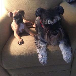 Meet your Posher, Robert